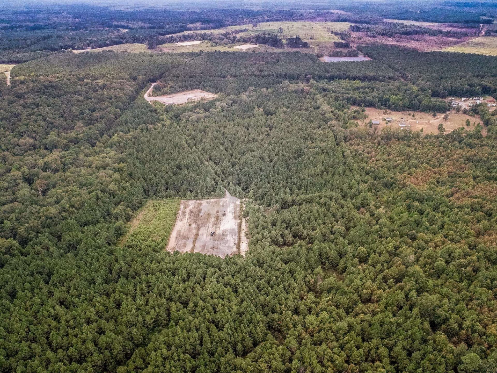 80 acres in Panola County - photo 3