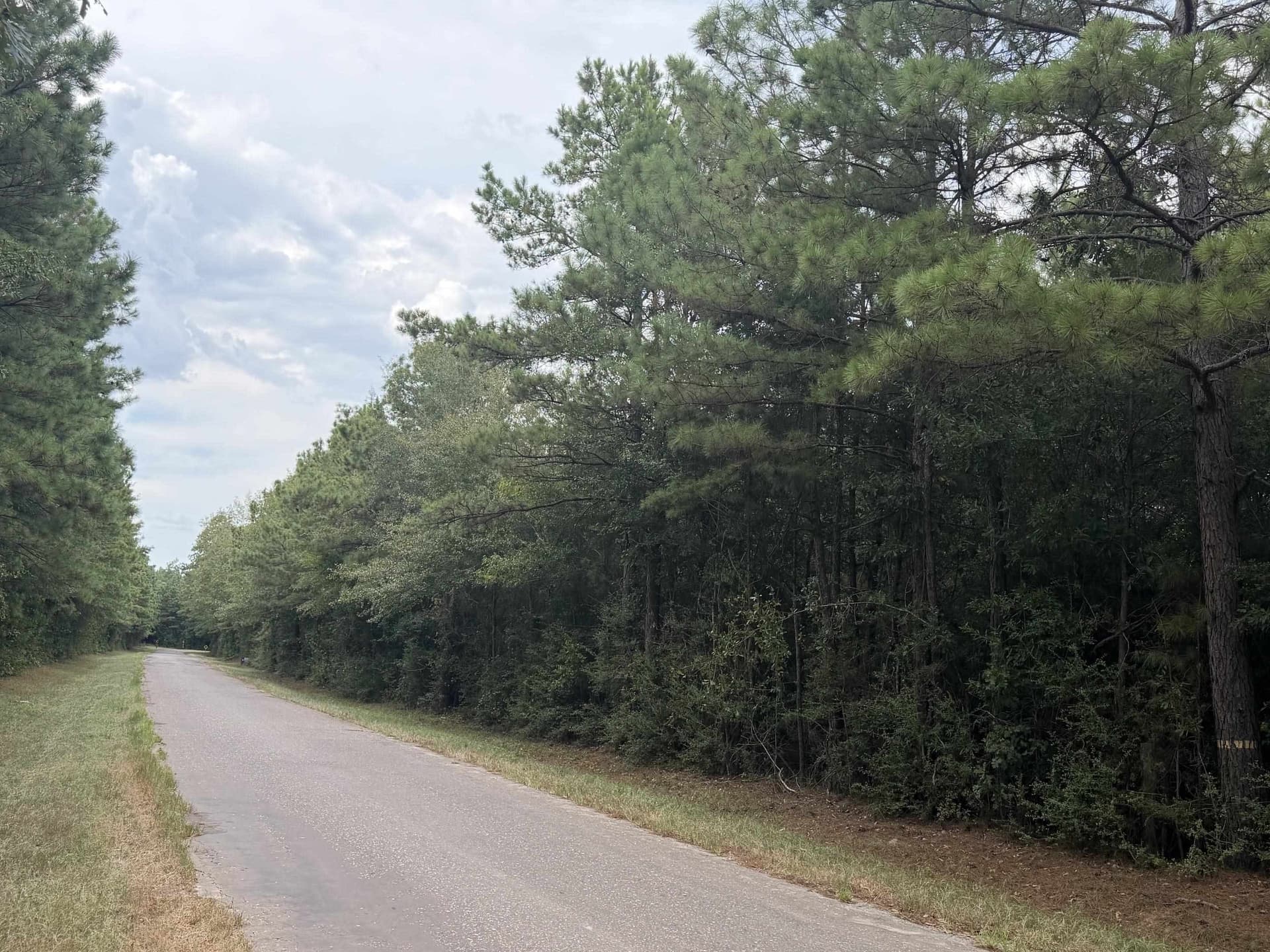 80 acres in Panola County - photo 14