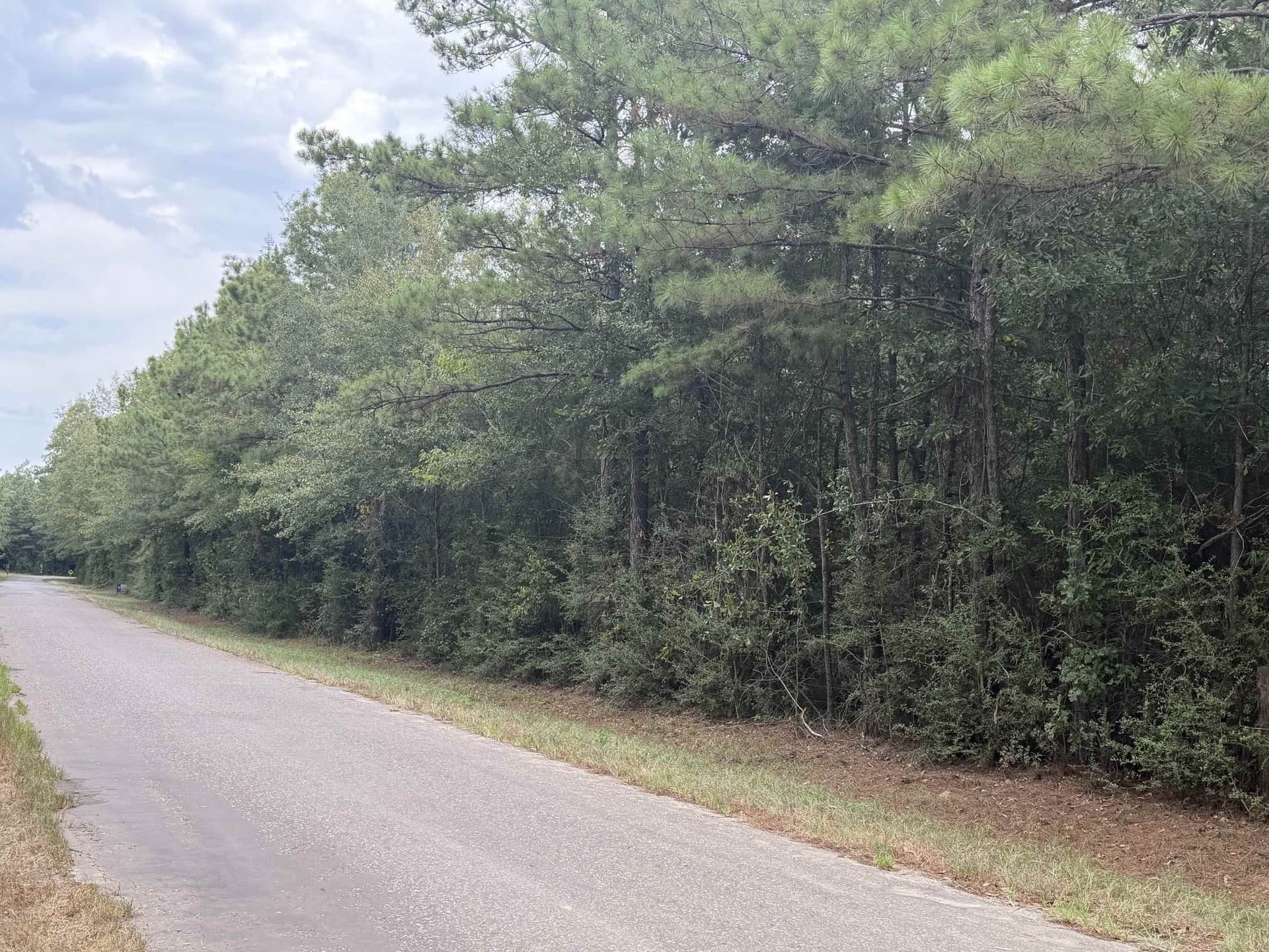 80 acres in Panola County - photo 13