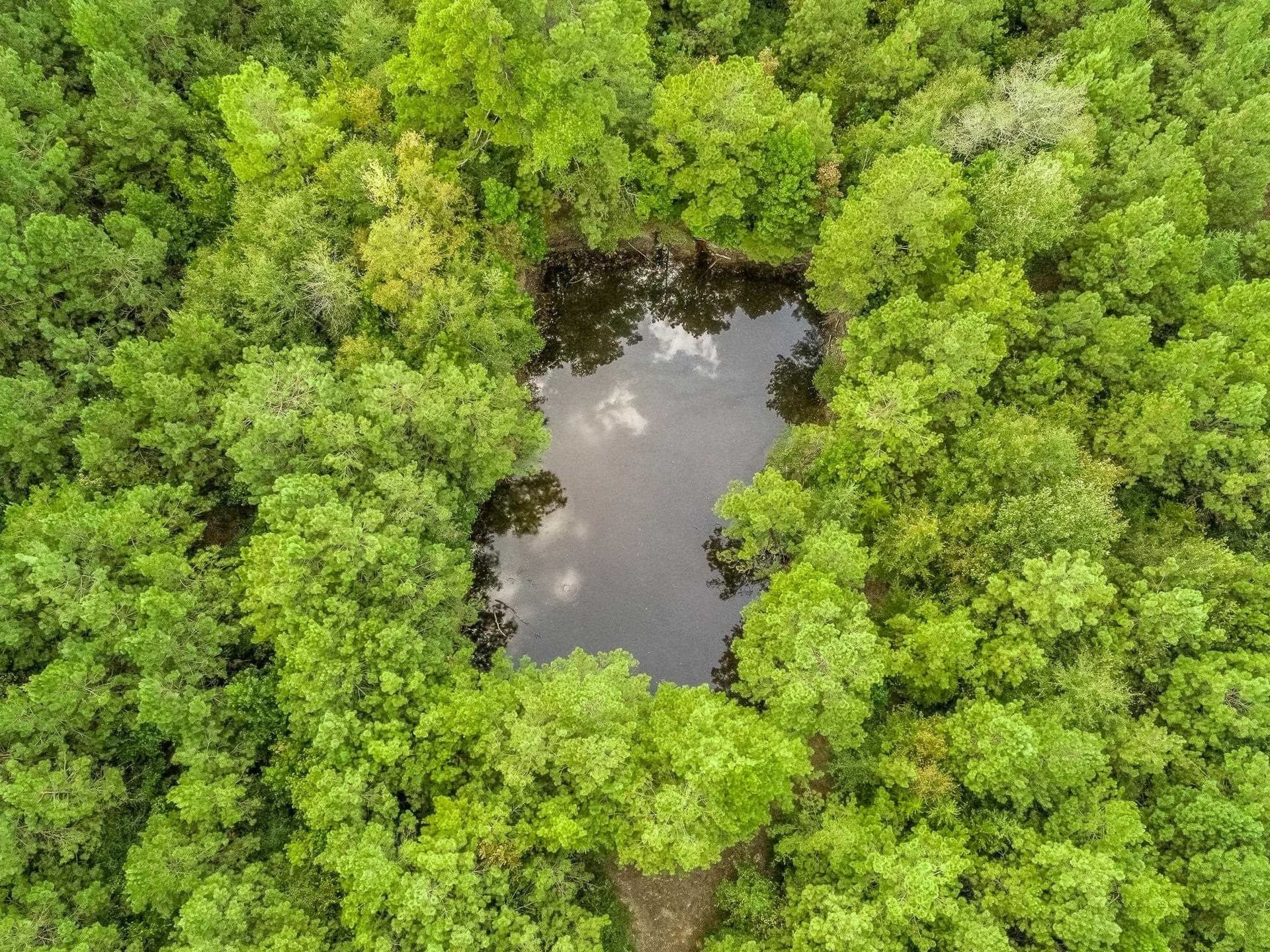 80 acres in Panola County - photo 8