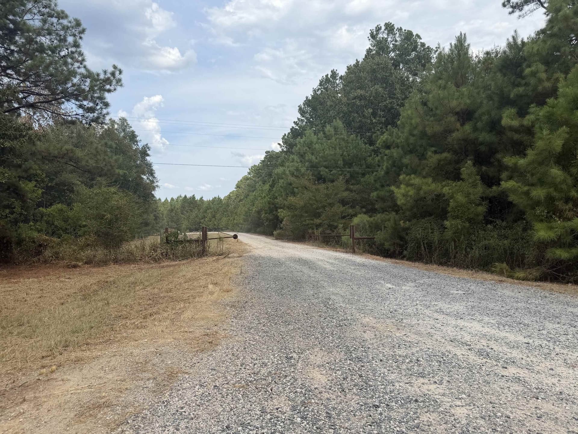 80 acres in Panola County - photo 12