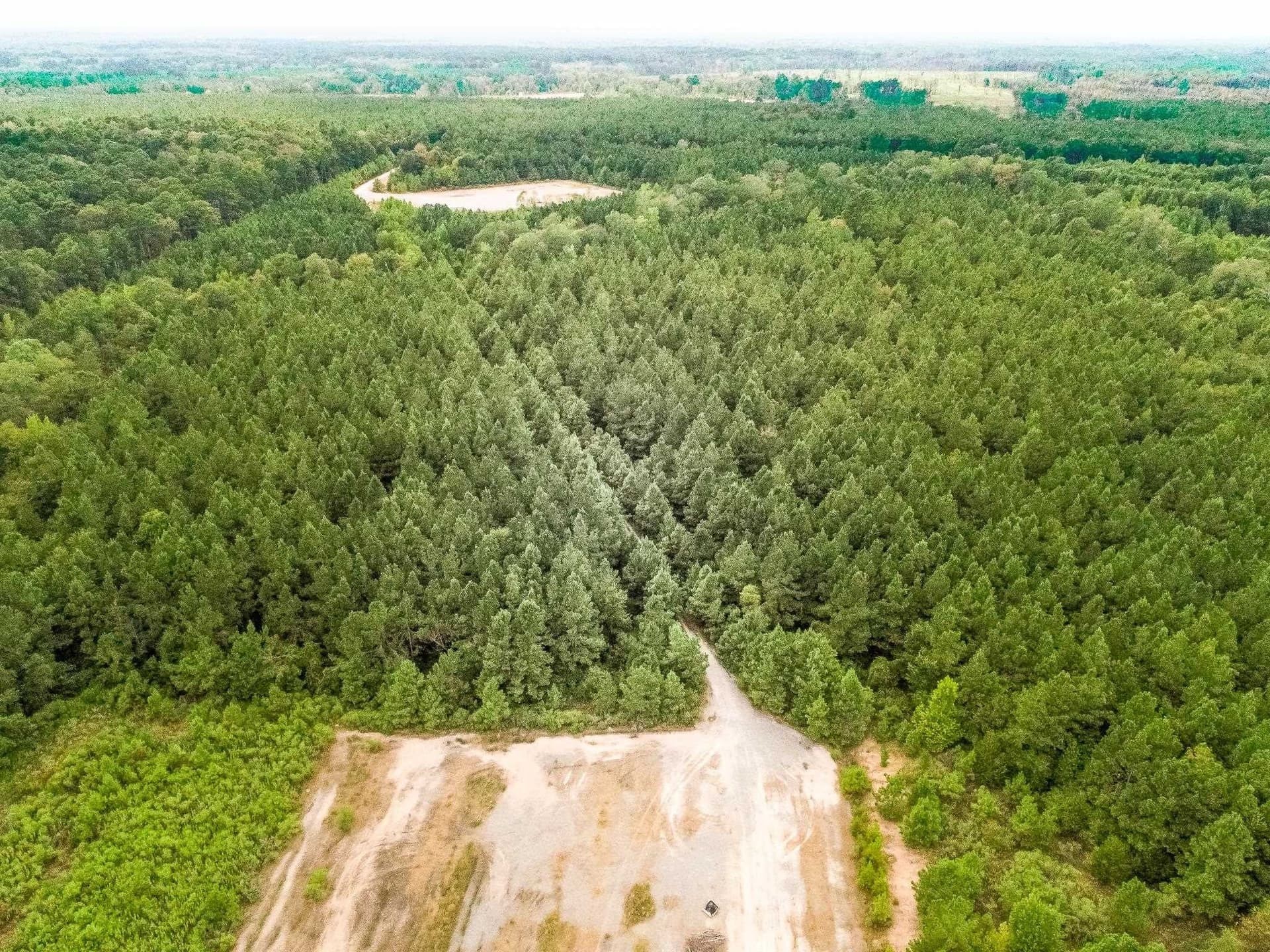 80 acres in Panola County - photo 2