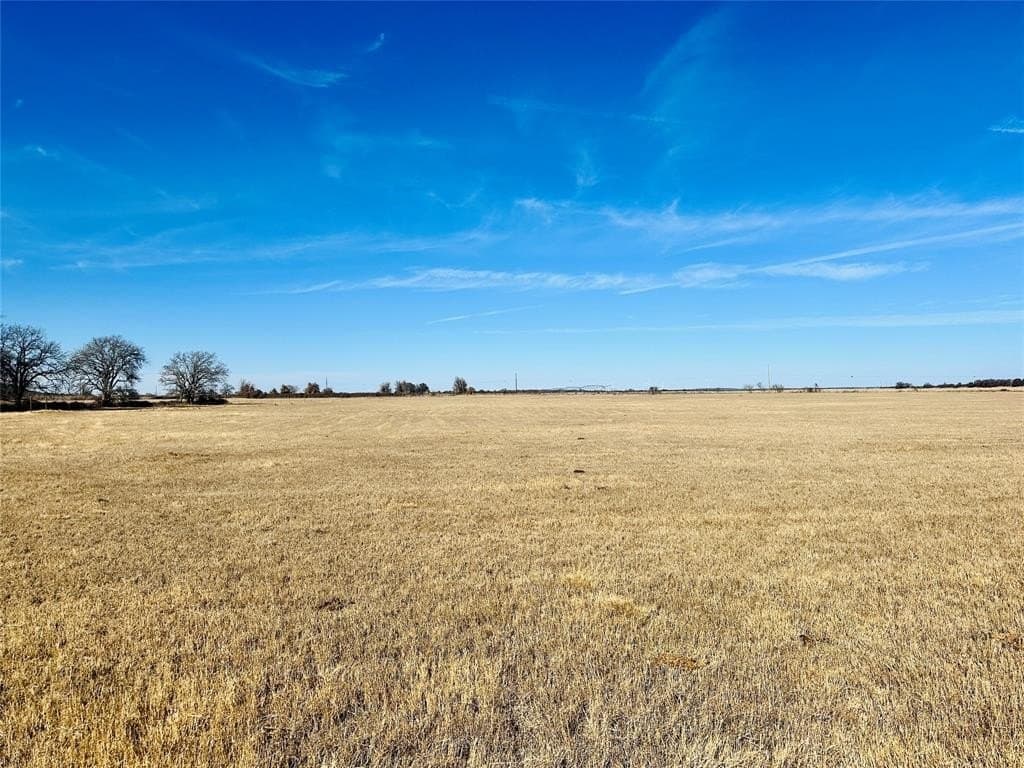 35 acres in Callahan County gallery image 3