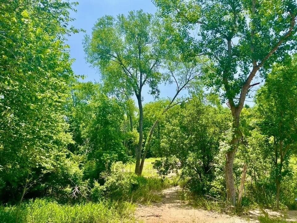 2.02 acres in Parker County gallery image 3