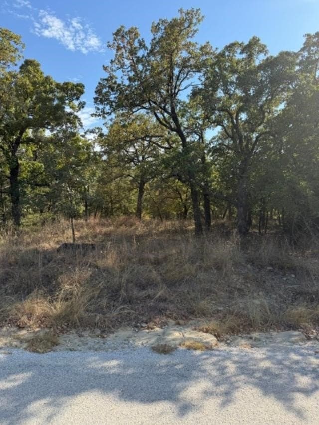 0.26 acres in Montague County