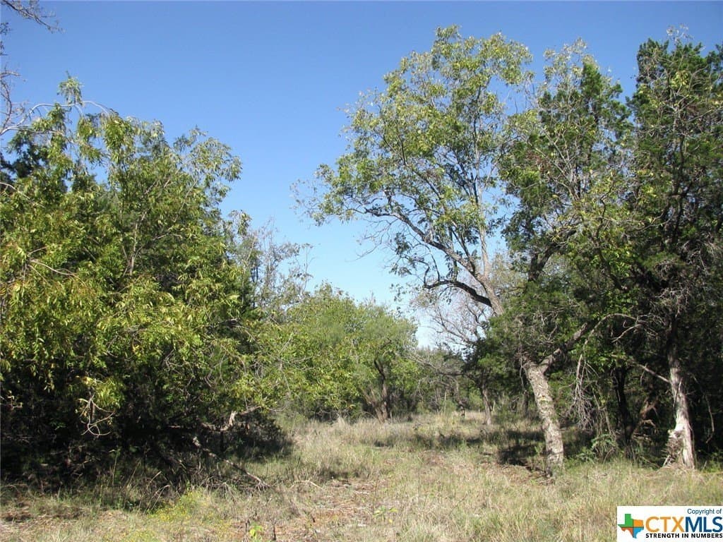 10.18 acres in Coryell County - photo 6