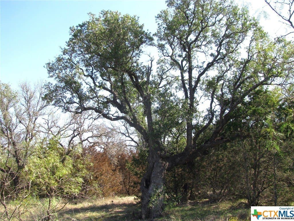 10.18 acres in Coryell County - photo 35