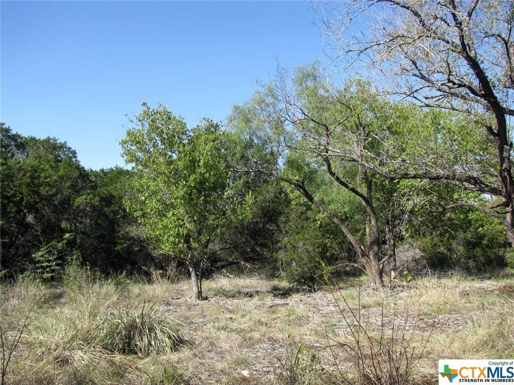 10.18 acres in Coryell County - photo 28
