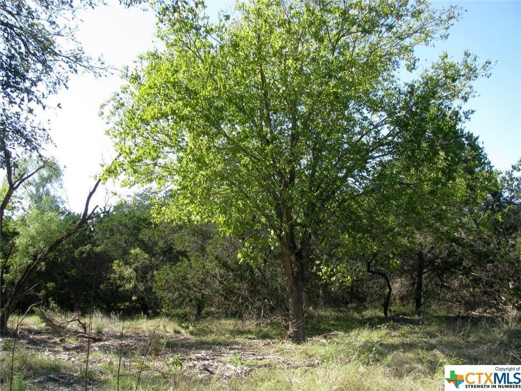 10.18 acres in Coryell County gallery image 2