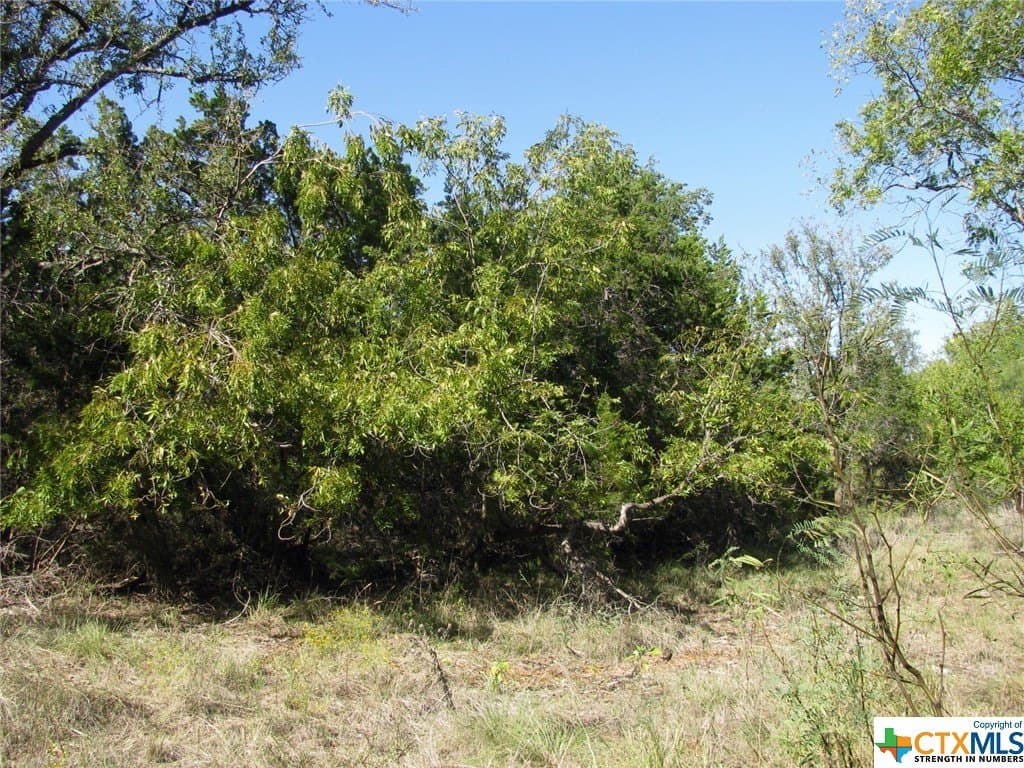 10.18 acres in Coryell County - photo 7