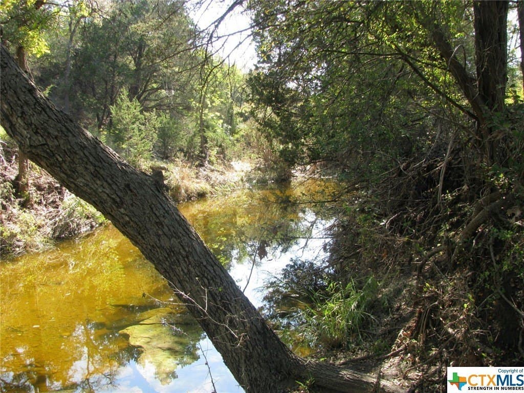 10.18 acres in Coryell County - photo 14