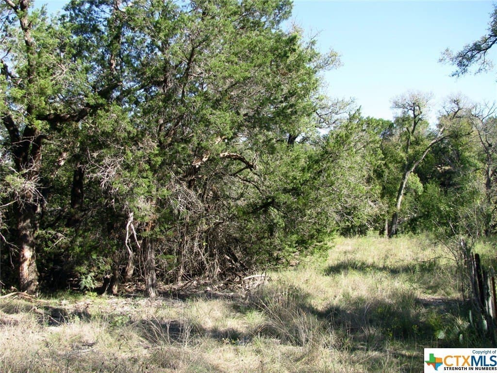 10.18 acres in Coryell County - photo 21