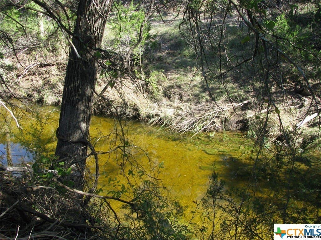 10.18 acres in Coryell County gallery image 3