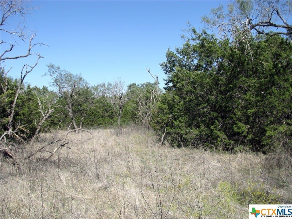 10.18 acres in Coryell County - photo 19