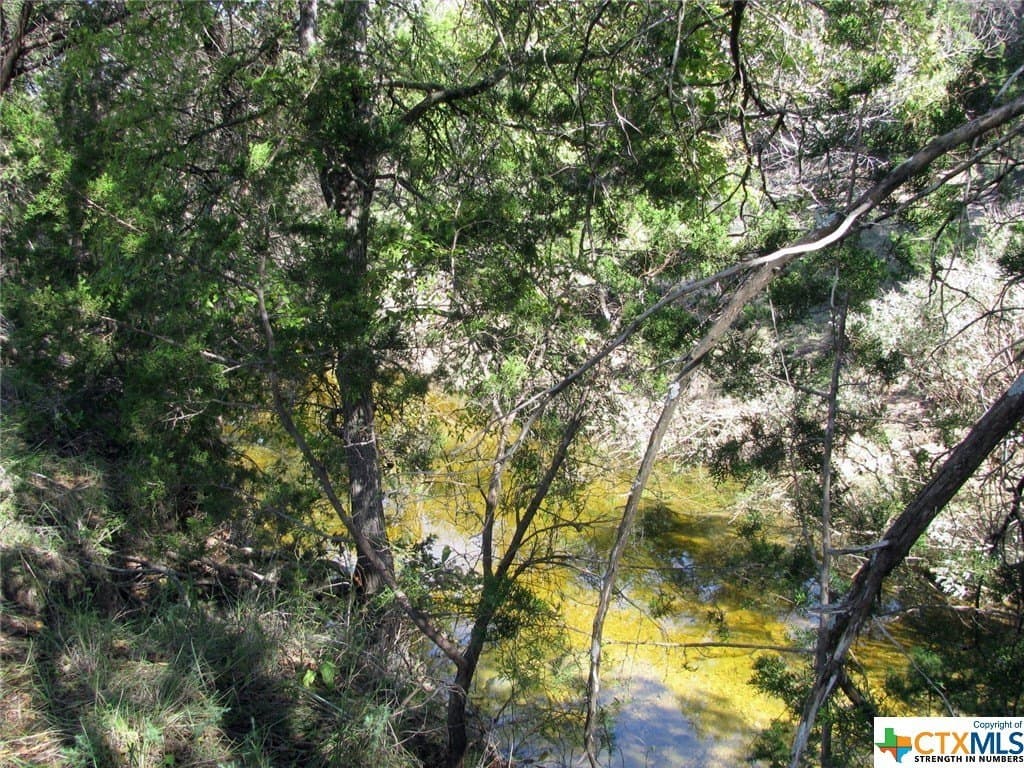 10.18 acres in Coryell County - photo 11