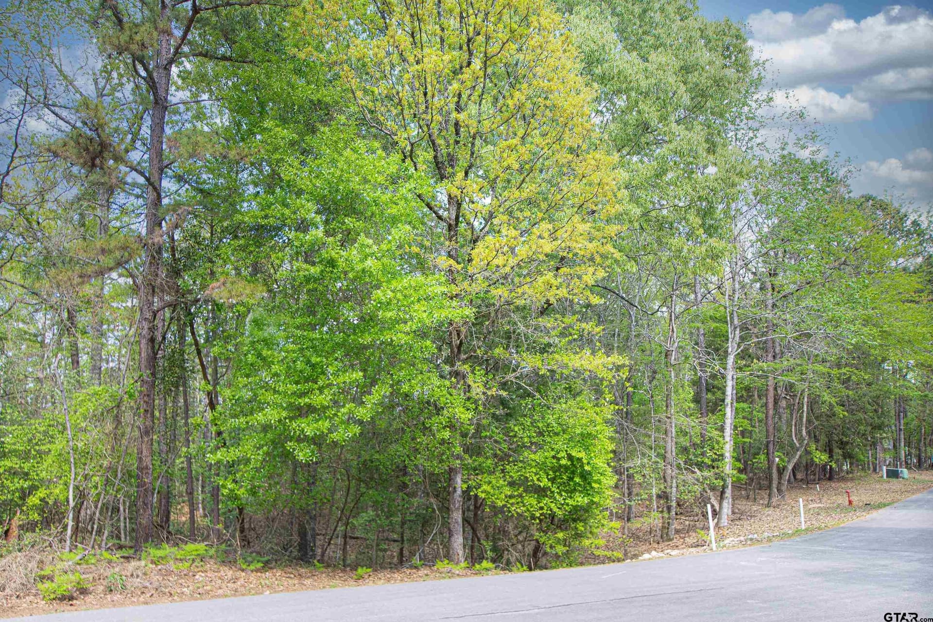 1.05 acres in Smith County featured view