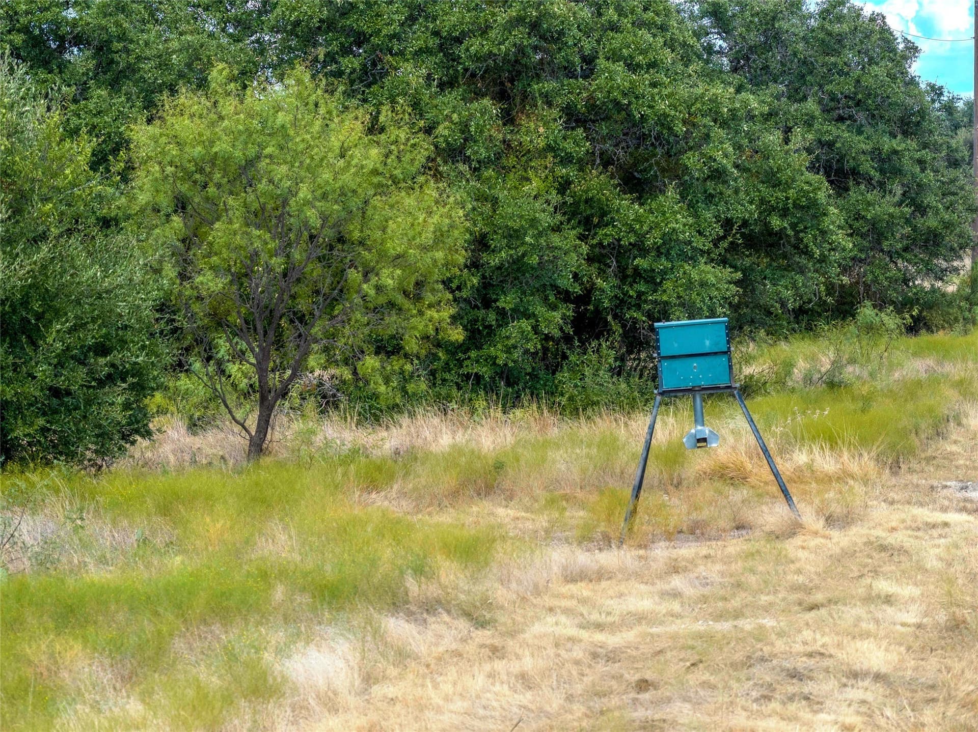 125 acres in McCulloch County - photo 7