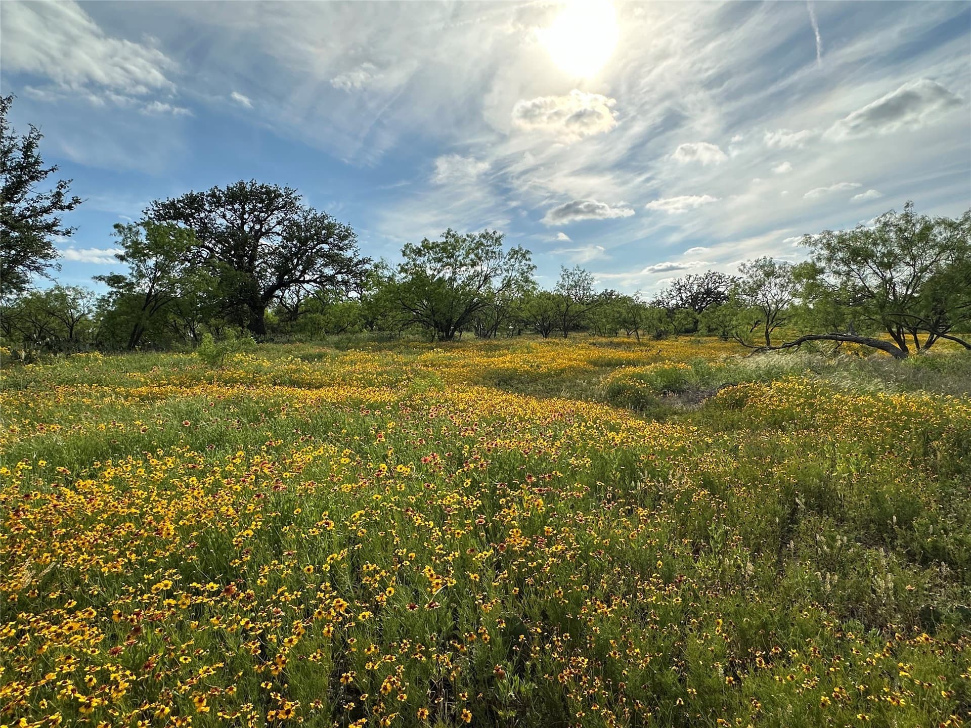 125 acres in McCulloch County - photo 22