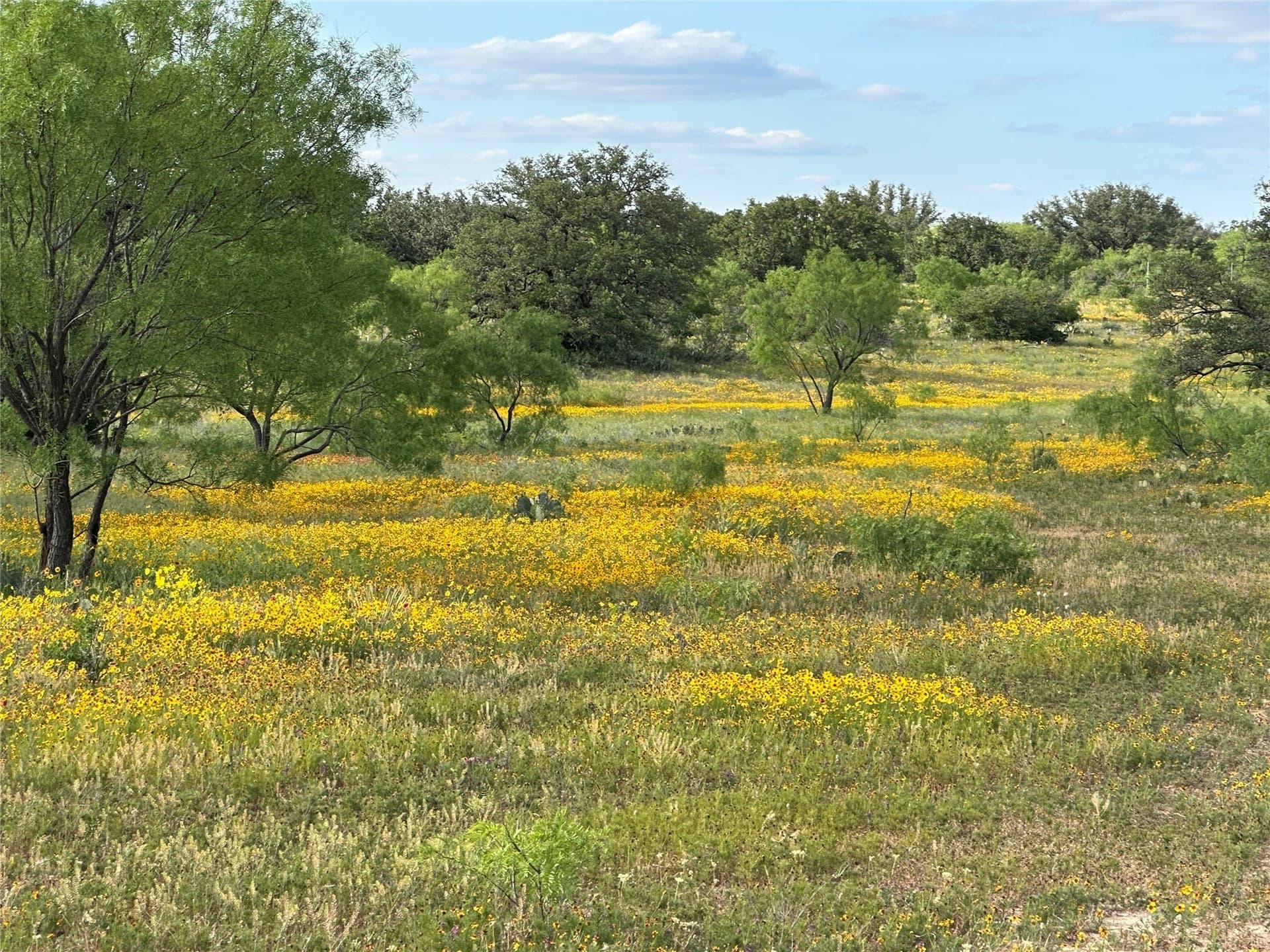 125 acres in McCulloch County - photo 25