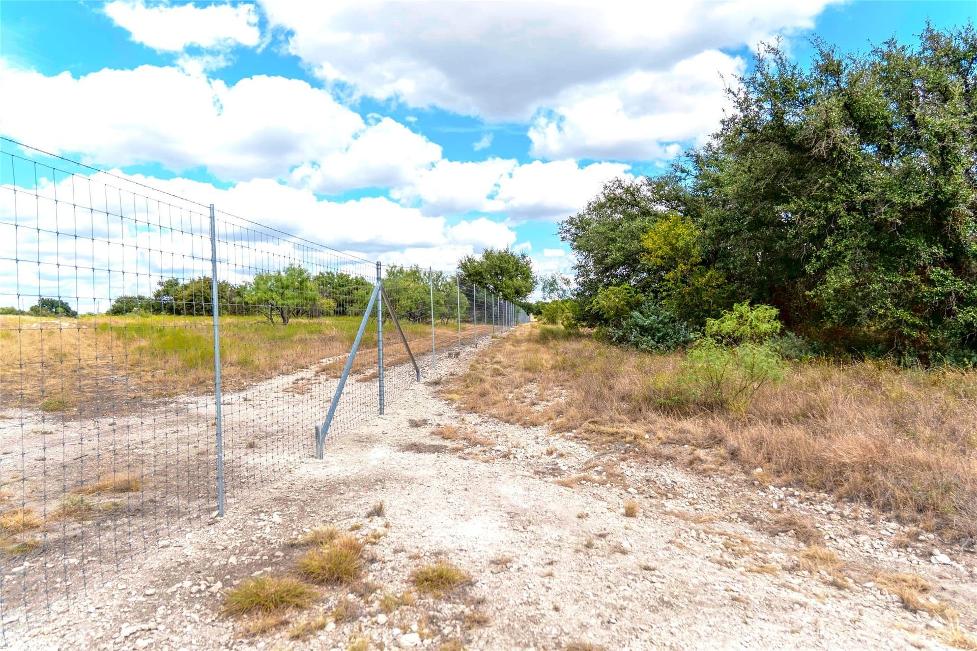 125 acres in McCulloch County - photo 6