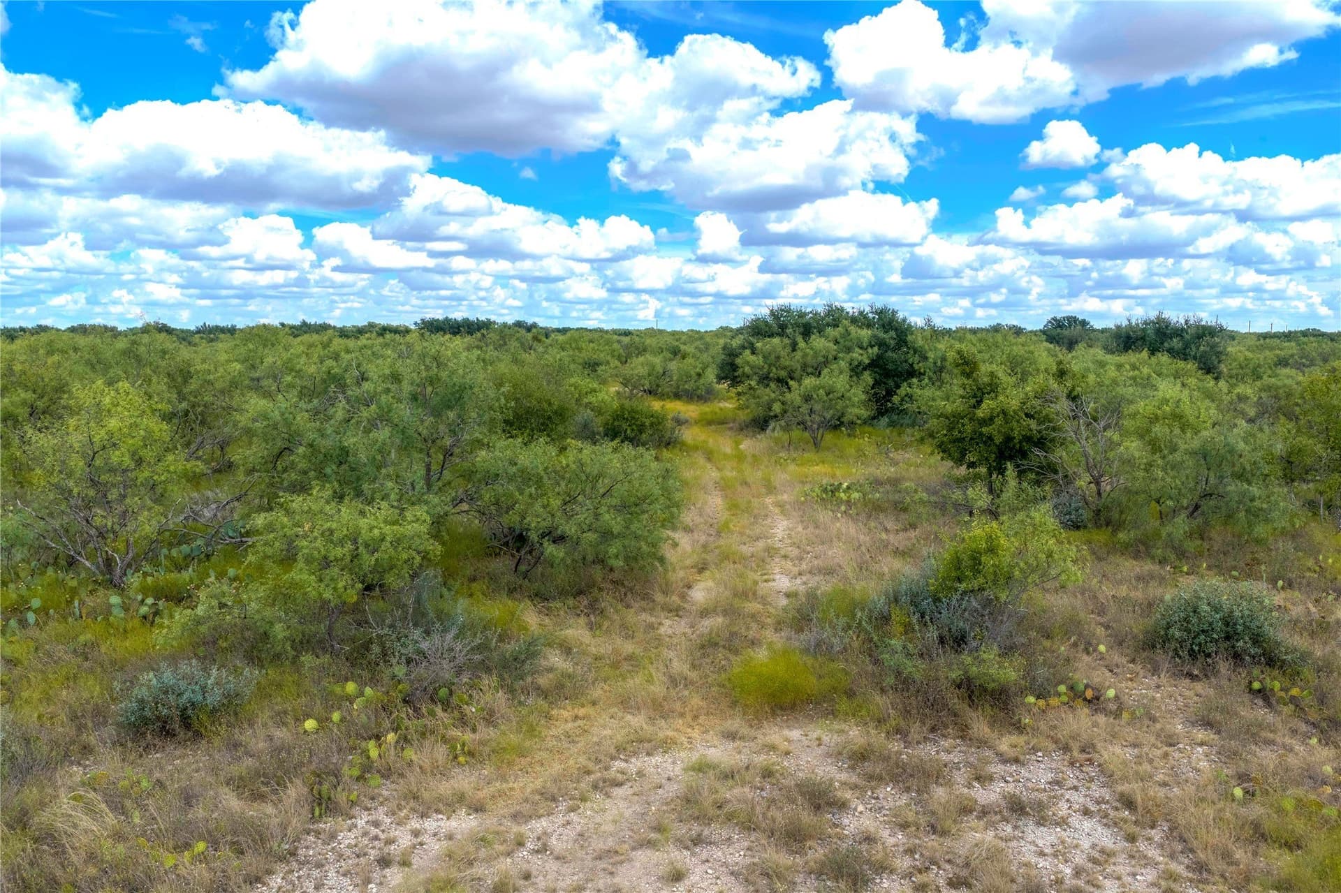 125 acres in McCulloch County - photo 4
