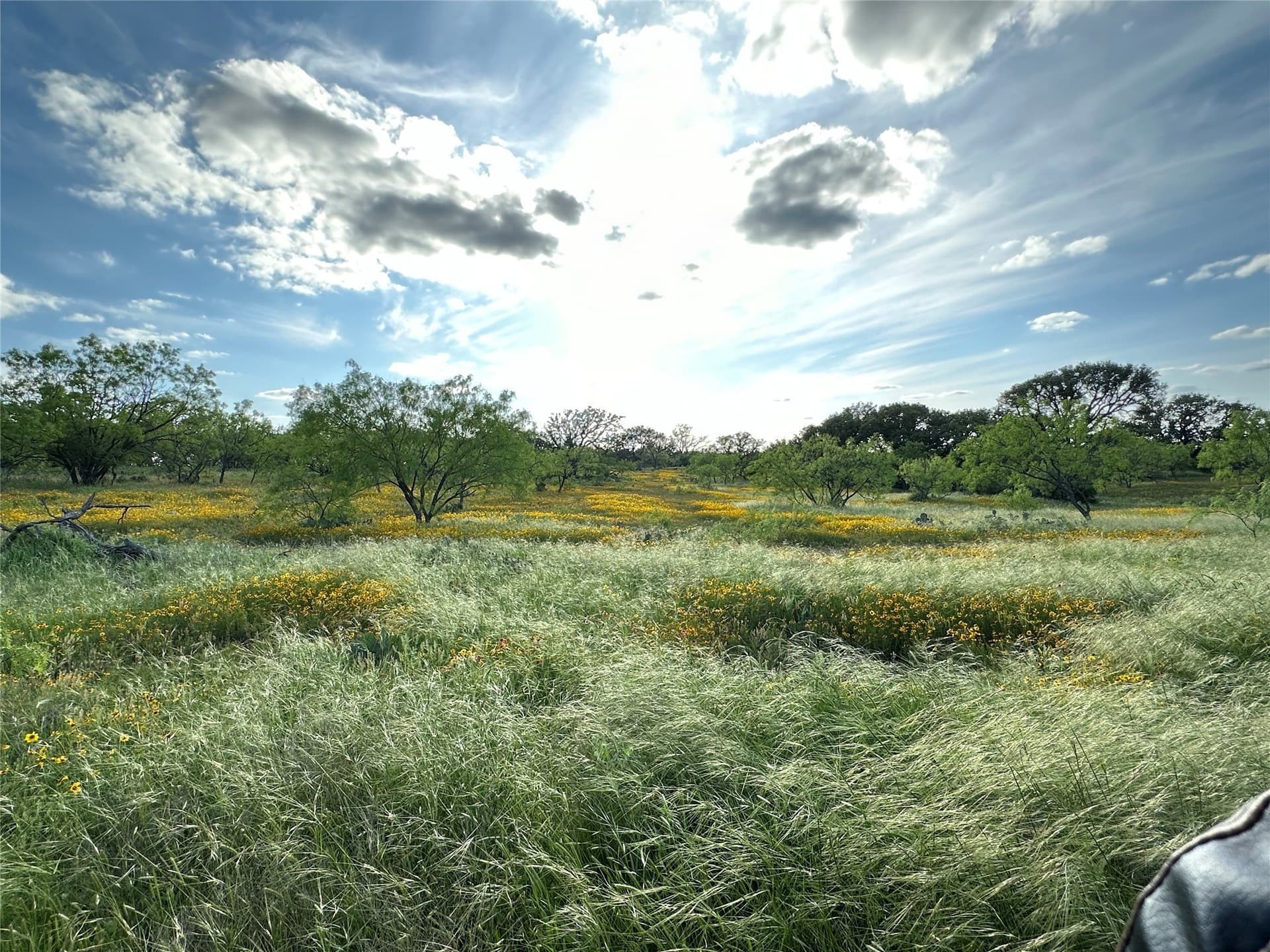 125 acres in McCulloch County - photo 26
