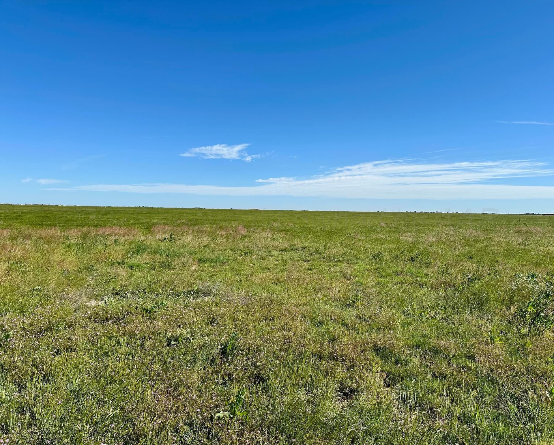 20 acres in Randall County gallery image 2