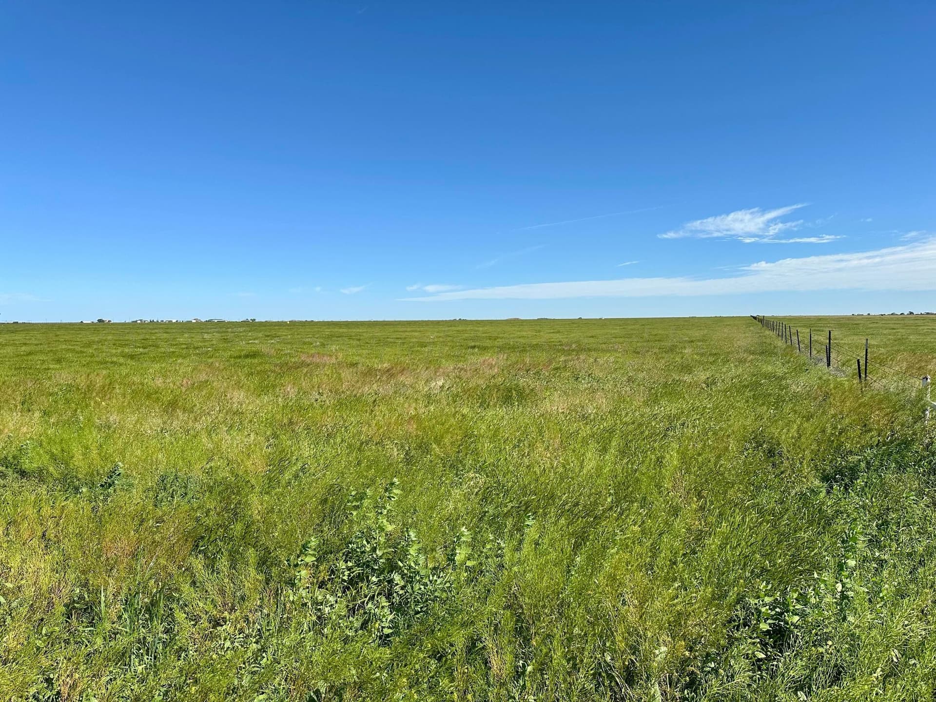 20 acres in Randall County gallery image 4