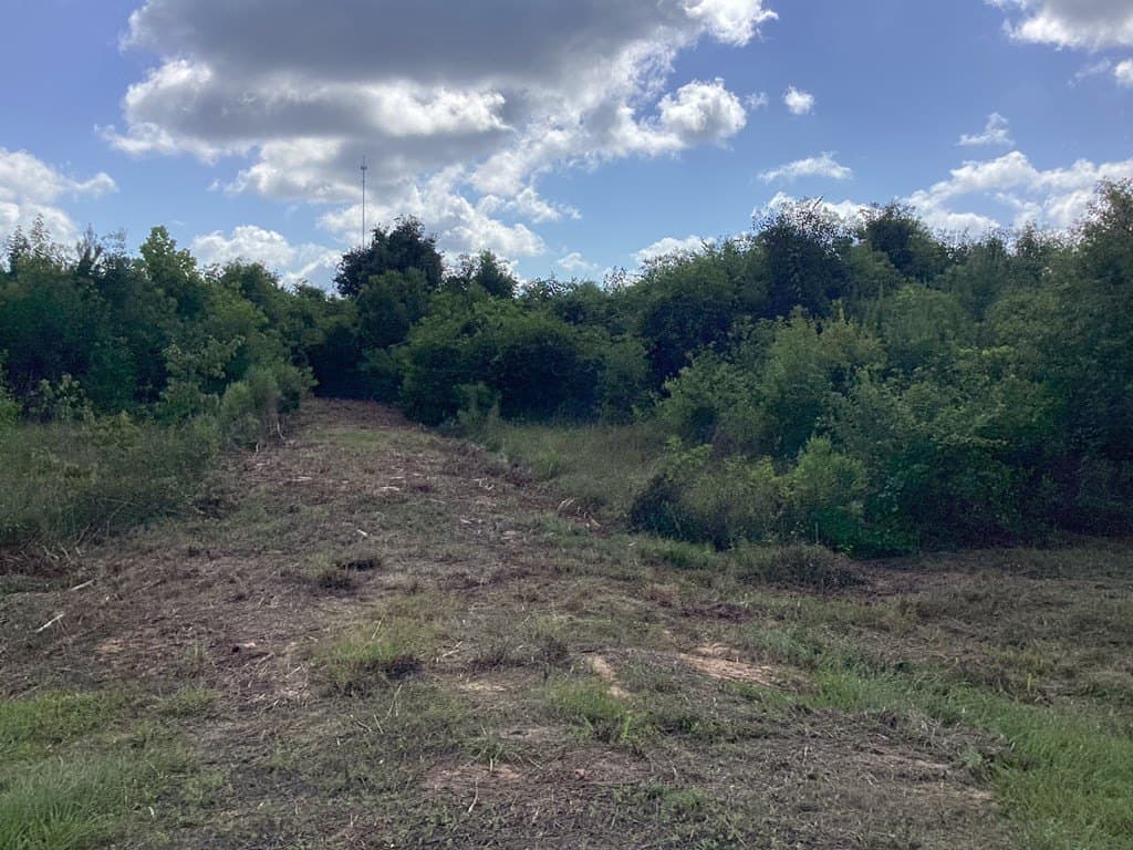 52.83 acres in Texas County - photo 33