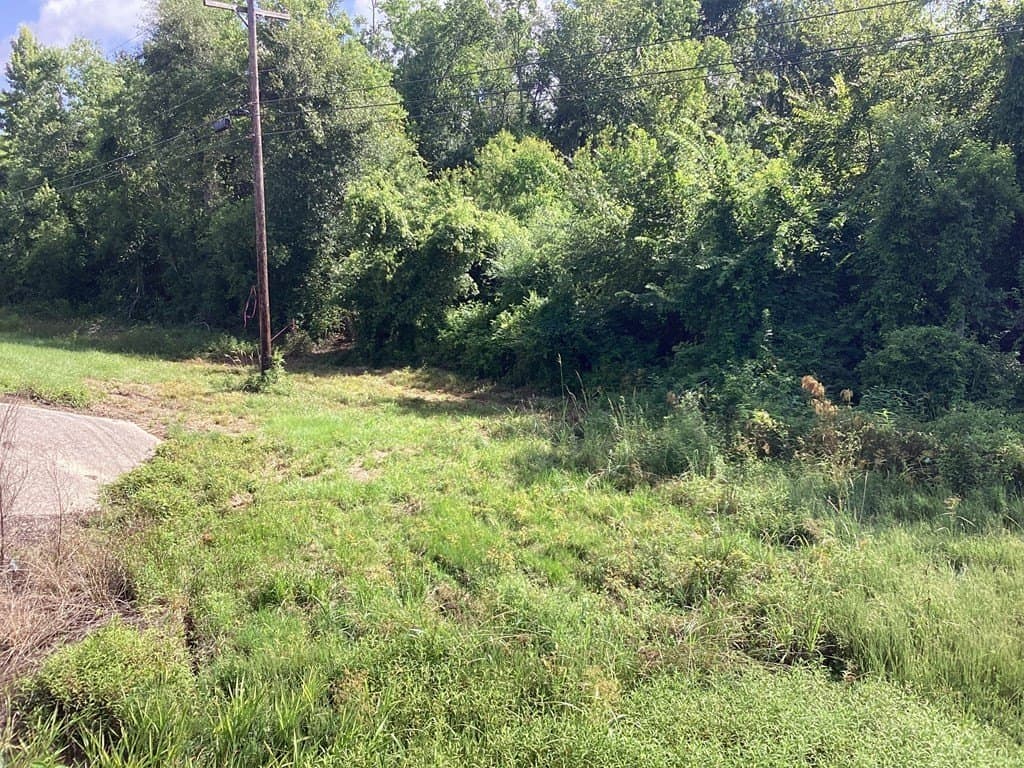 52.83 acres in Texas County - photo 26