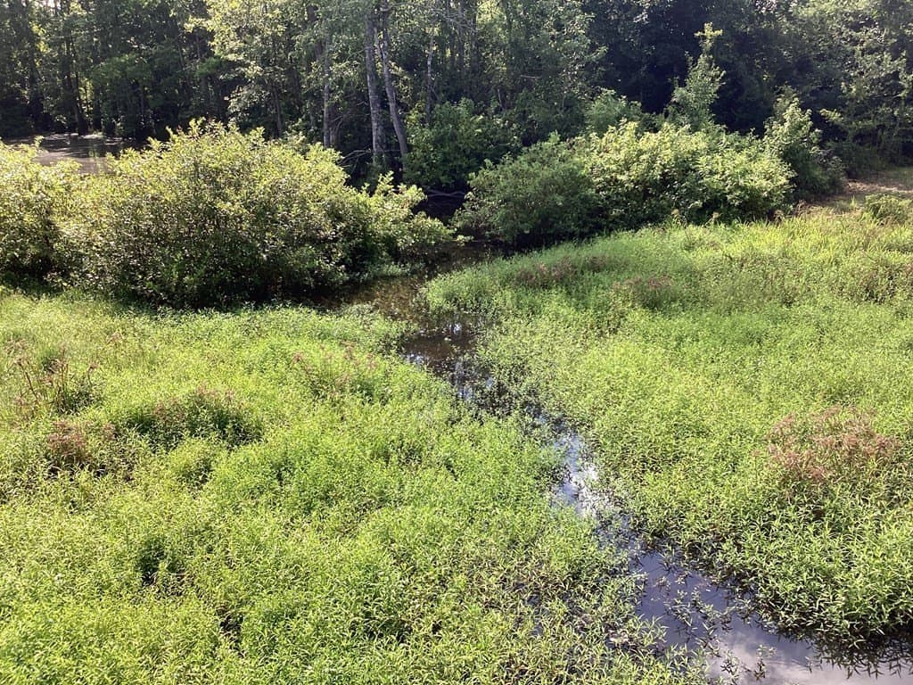 52.83 acres in Texas County - photo 28