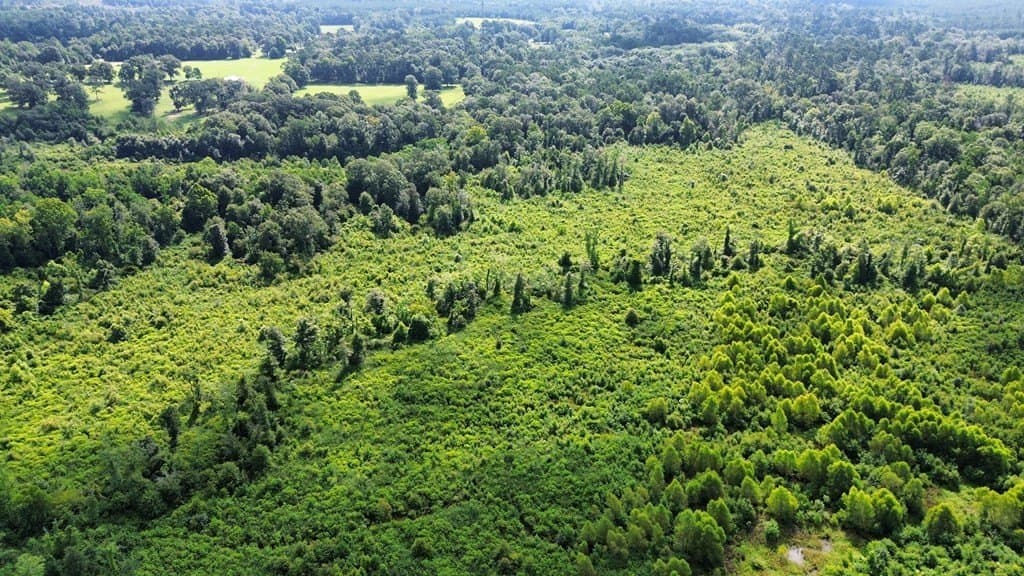 52.83 acres in Texas County gallery image 2