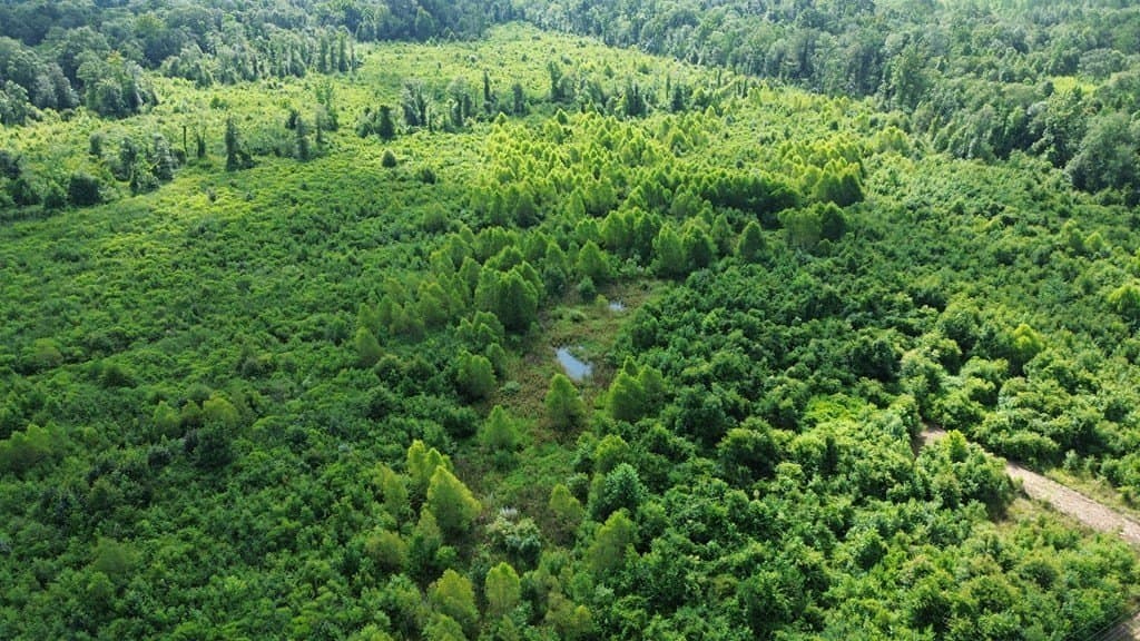 52.83 acres in Texas County - photo 9