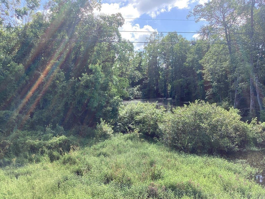 52.83 acres in Texas County - photo 19