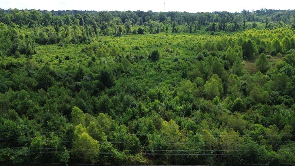 52.83 acres in Texas County - photo 15