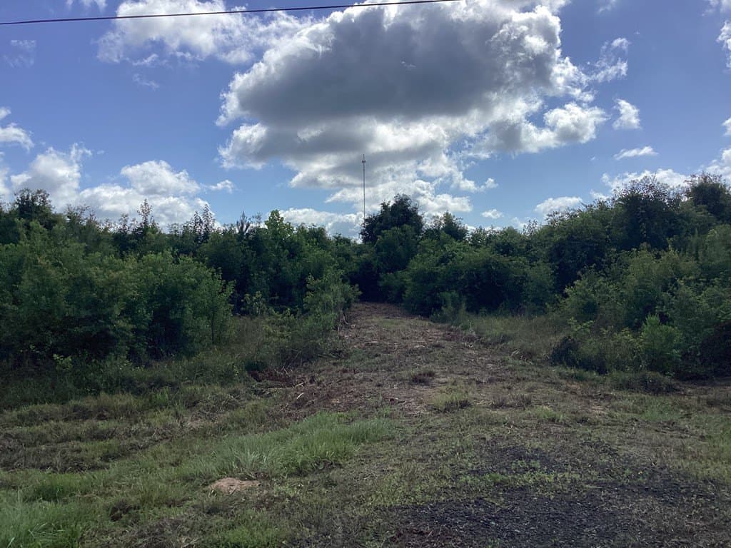 52.83 acres in Texas County - photo 22