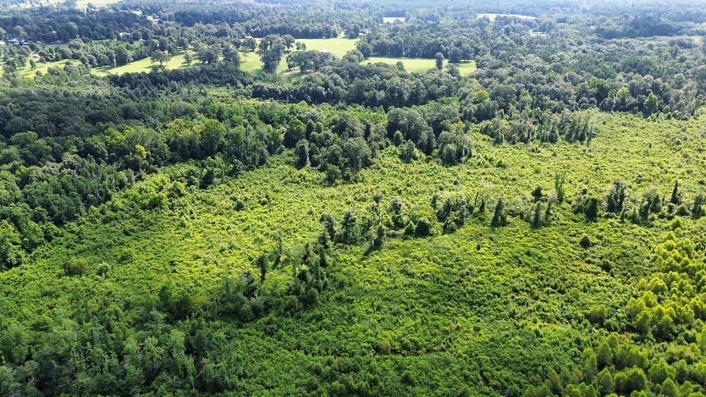 52.83 acres in Texas County gallery image 3