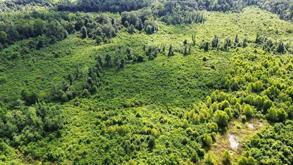 52.83 acres in Texas County - photo 10