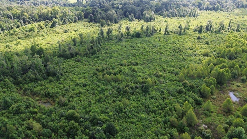 52.83 acres in Texas County - photo 7