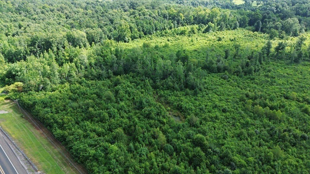 52.83 acres in Texas County - photo 8