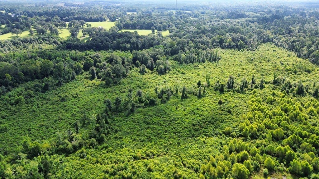 52.83 acres in Texas County - photo 11