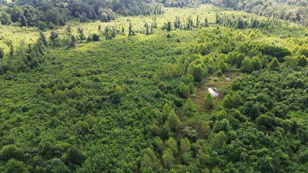 52.83 acres in Texas County - photo 12