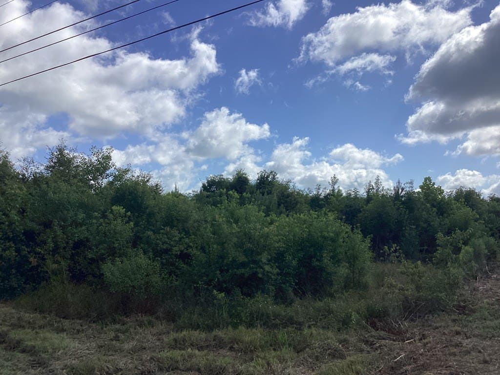 52.83 acres in Texas County - photo 32