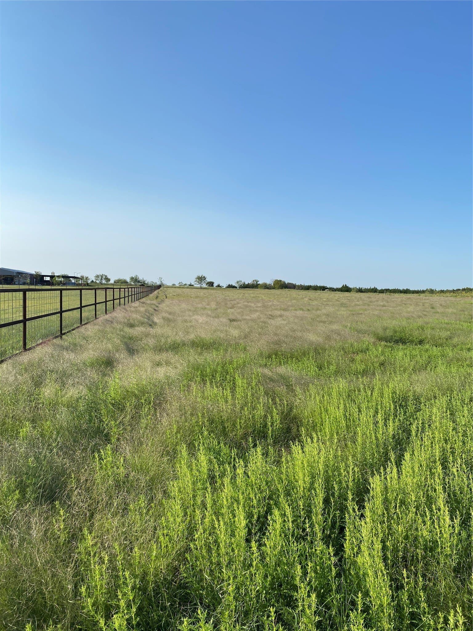 5 acres in Navarro County - photo 4