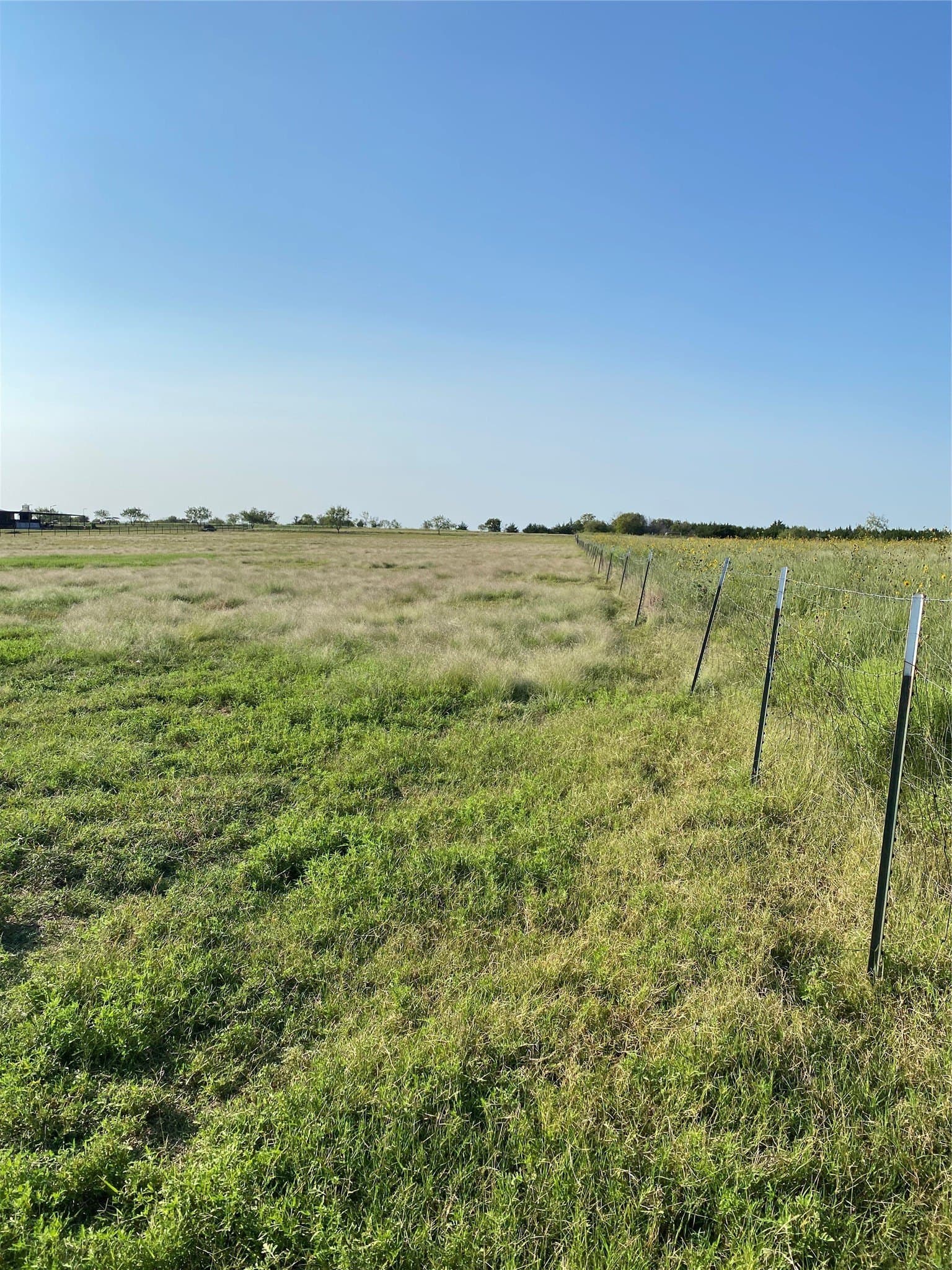 5 acres in Navarro County - photo 5