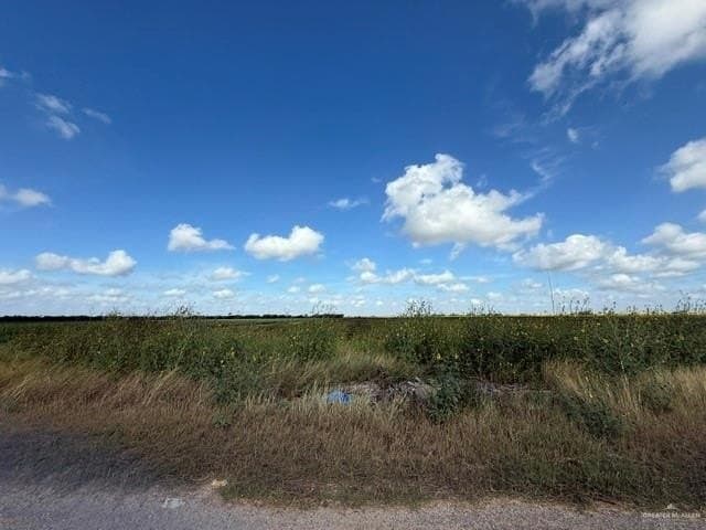 27.59 acres in Hidalgo County - photo 2