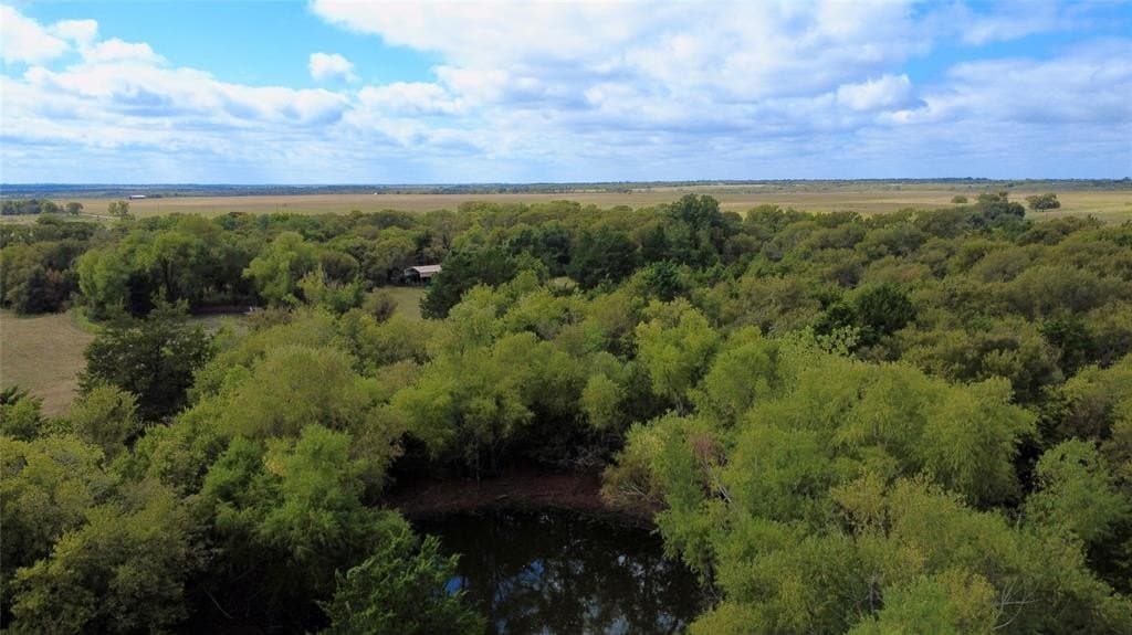18.34 acres in Limestone County featured view