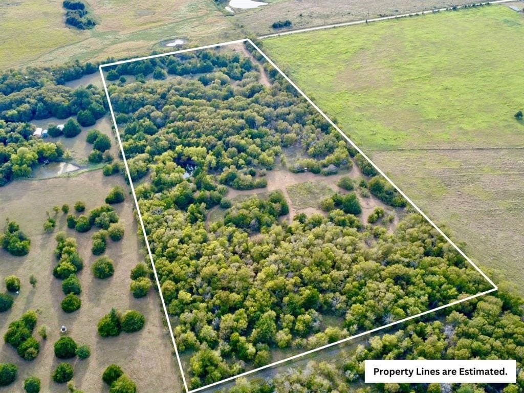 18.34 acres in Limestone County gallery image 4