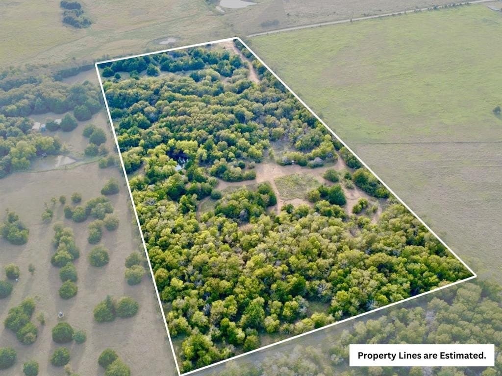 18.34 acres in Limestone County gallery image 3