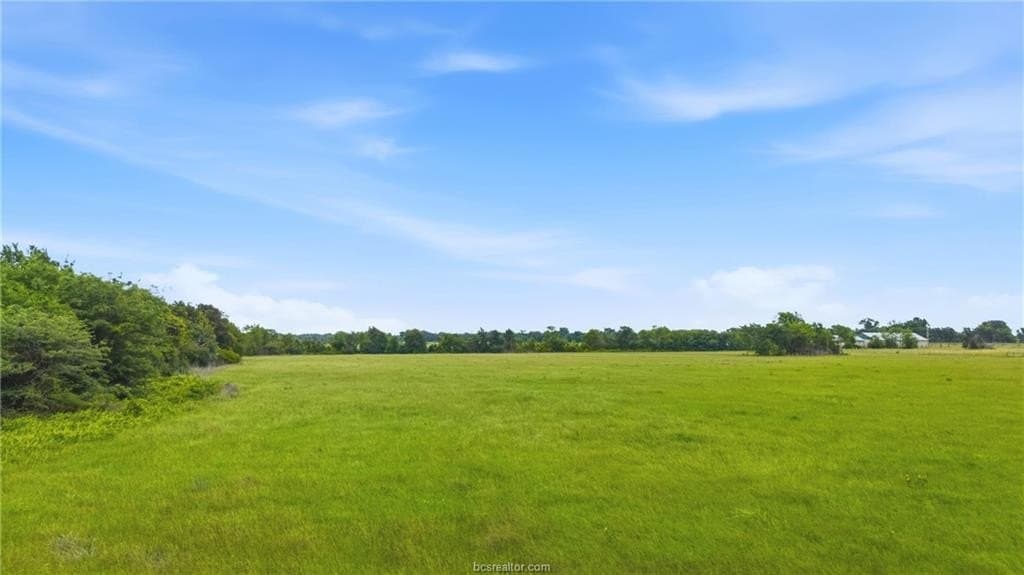 4 acres in Leon County - photo 6